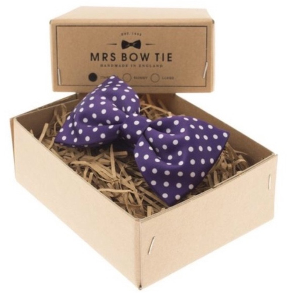 Polka Dot Bow Tie